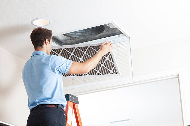 Best Air Filters and Purifiers in Silver Springs, FL